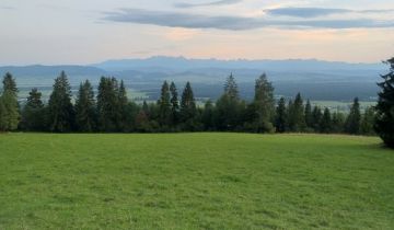 Działka rolno-budowlana Knurów