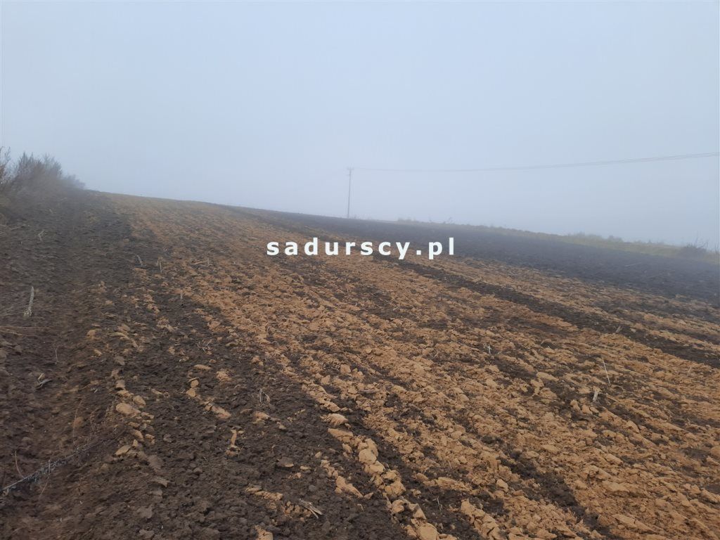 Działka rolna Proszowice, ul. Mikołaja Kopernika. Zdjęcie 1