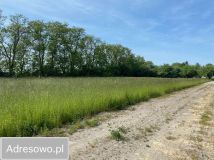 Działka budowlana Dąbrówka, ul. Kościelna. Zdjęcie 4