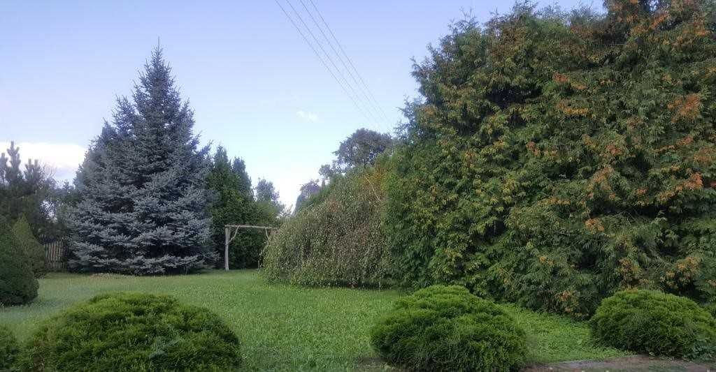 dom wolnostojący Występ. Zdjęcie 5