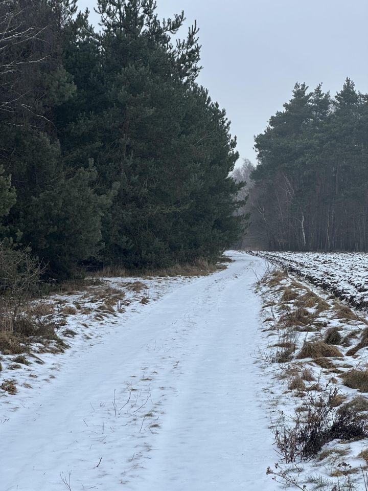Działka rolno-budowlana Rogoźno, ul. Brzozowa. Zdjęcie 2