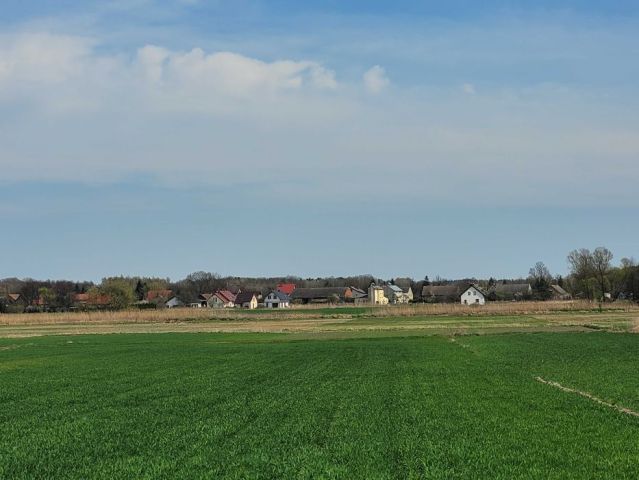 Działka rolna Oleśniczka. Zdjęcie 1