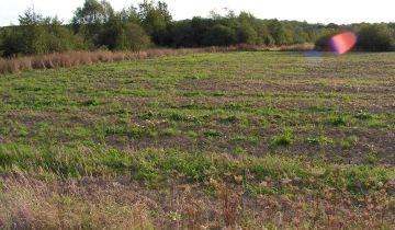Działka budowlana Zwierzyniec Trzeci