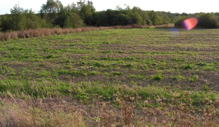 Działka budowlana Zwierzyniec Trzeci