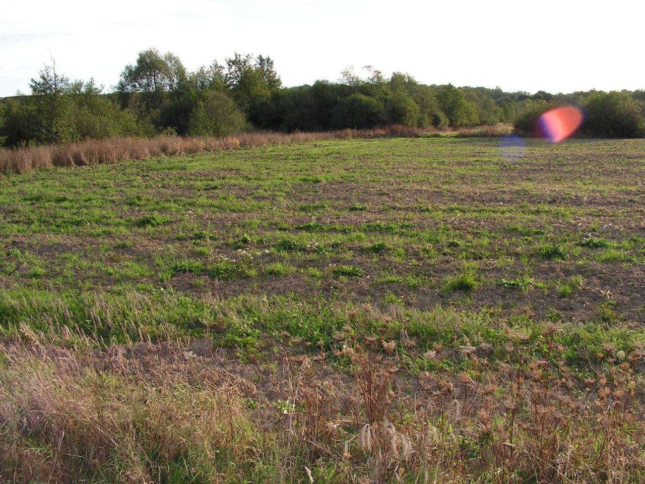 Działka budowlana Zwierzyniec Trzeci