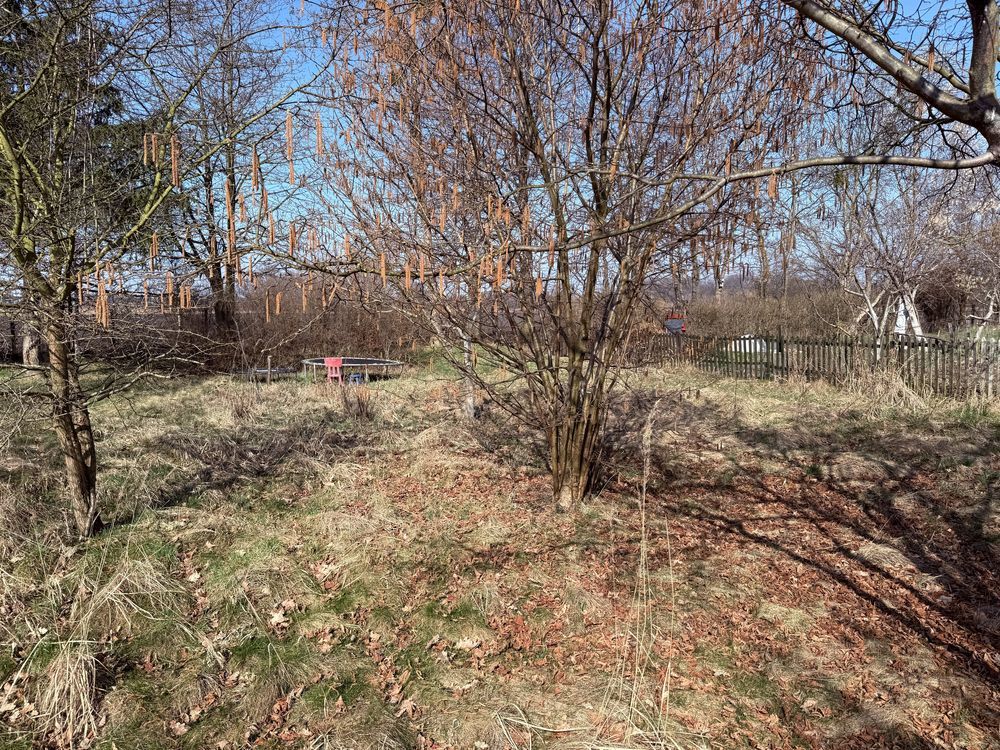 Działka rod Wrocław, ul. Gruzińska. Zdjęcie 3