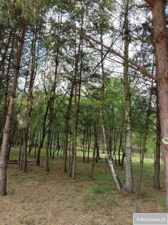 Działka budowlana Bratucice. Zdjęcie 4