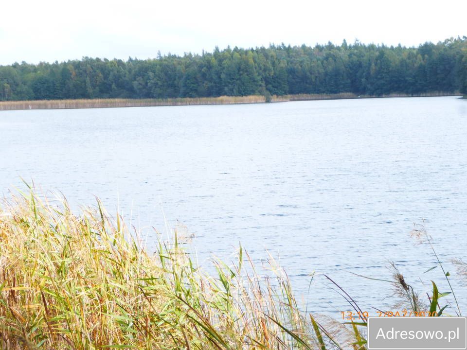 Działka rolna Cegielnia. Zdjęcie 12