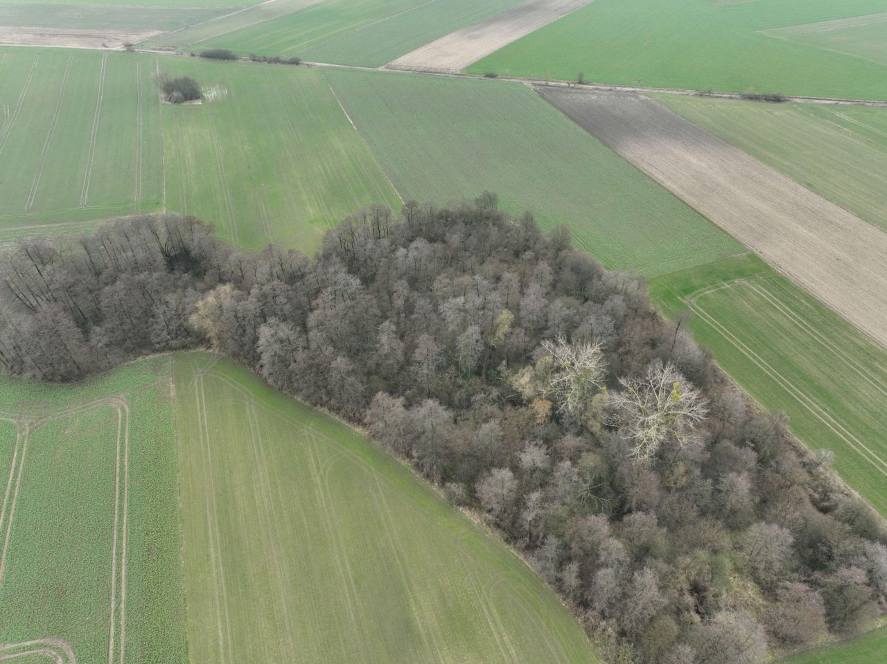 Działka inwestycyjna Miszewko Strzałkowskie, Nieokreślona. Zdjęcie 5