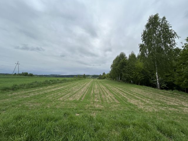 Działka budowlana Ropczyce, ul. Borki Chechelskie. Zdjęcie 1