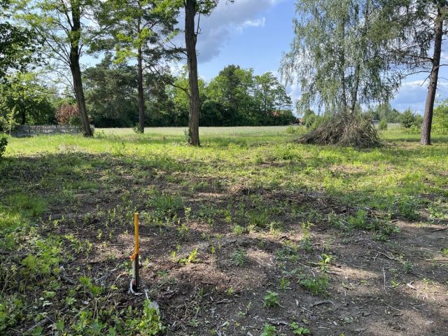 Działka budowlana Michałów, ul. Orzechowa. Zdjęcie 1