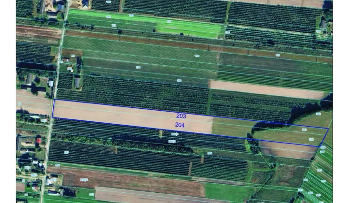 Działka rolno-budowlana Bieliny Nowe Bieliny