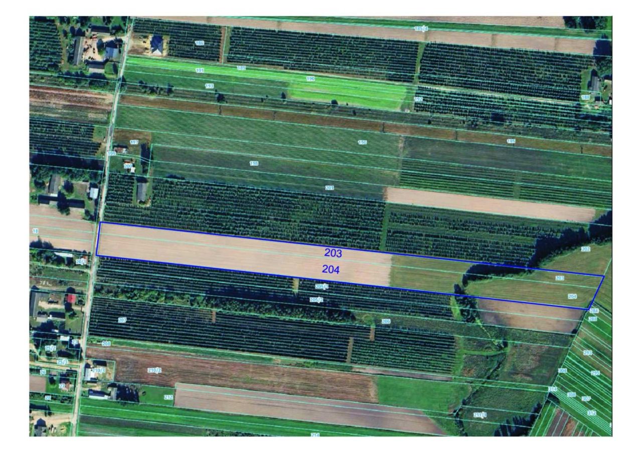 Działka rolno-budowlana Bieliny Nowe Bieliny