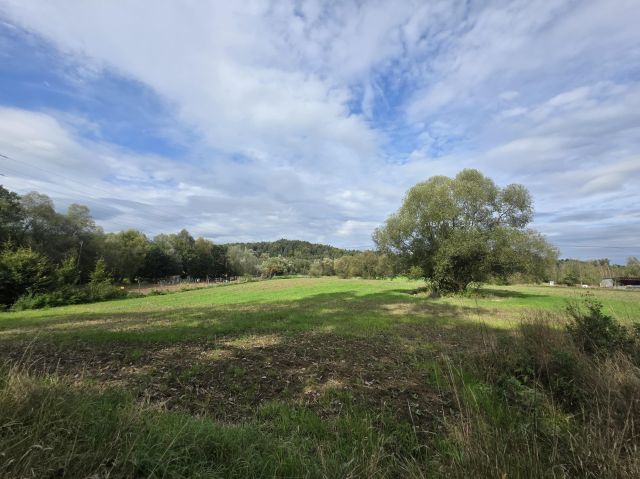 Działka inwestycyjna Krzywaczka. Zdjęcie 3