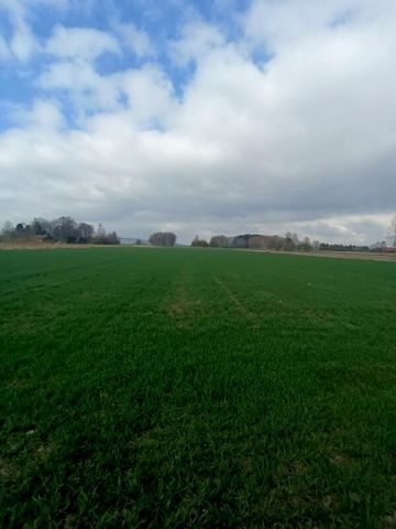 Działka budowlana Świerzowa Polska. Zdjęcie 12