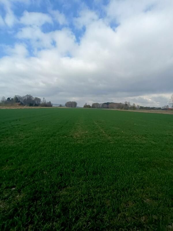 Działka budowlana Świerzowa Polska. Zdjęcie 12