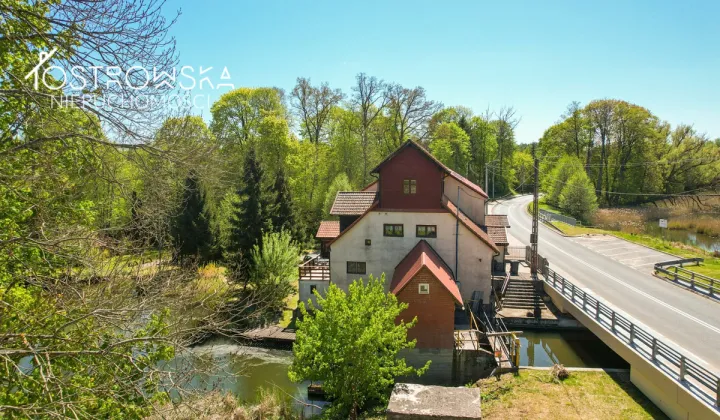 dom wolnostojący, 15 pokoi Babięta