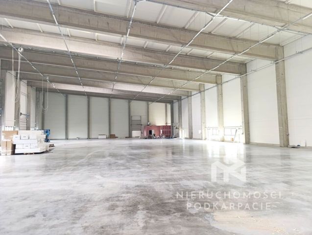 Hala/magazyn Rzeszów Dworzysko, ul. Biznesowa. Zdjęcie 12