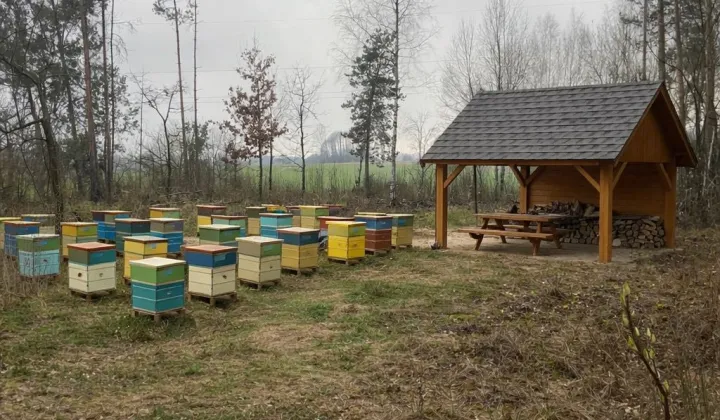 Działka leśna Mościcha