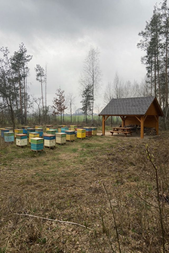 Działka leśna Mościcha. Zdjęcie 1