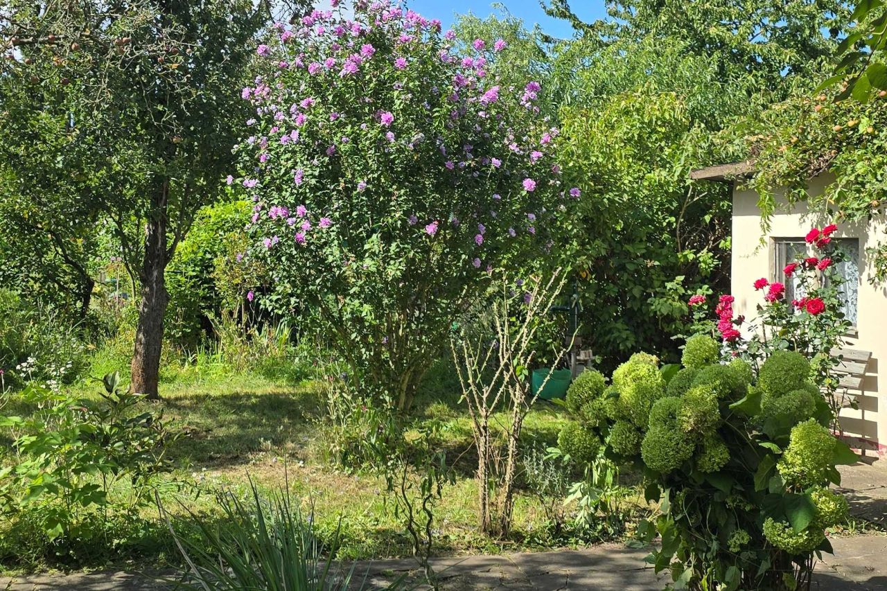 Działka rod Wrocław Śródmieście, ul. Odona Bujwida. Zdjęcie 8