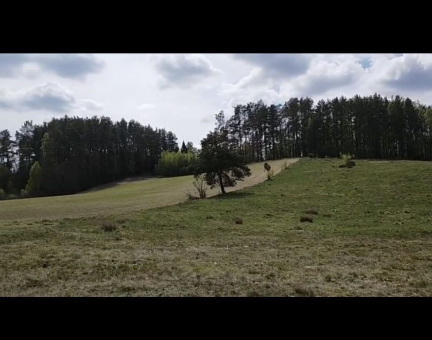 Działka rolna Unichowo. Zdjęcie 3