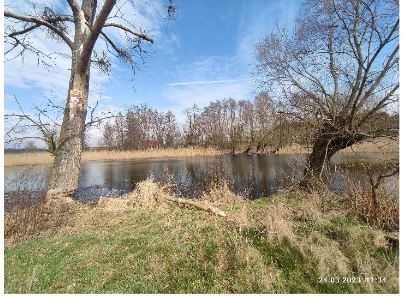 Działka siedliskowa Kolno. Zdjęcie 8