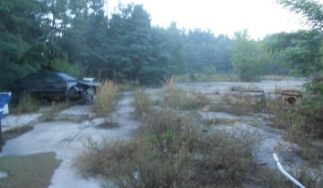 Działka inwestycyjna Brzeziny, ul. Przemysłowa