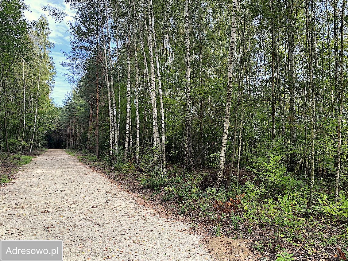 Działka budowlana Tuszyn Tuszynek Poduchowny, ul. Poddębina. Zdjęcie 5