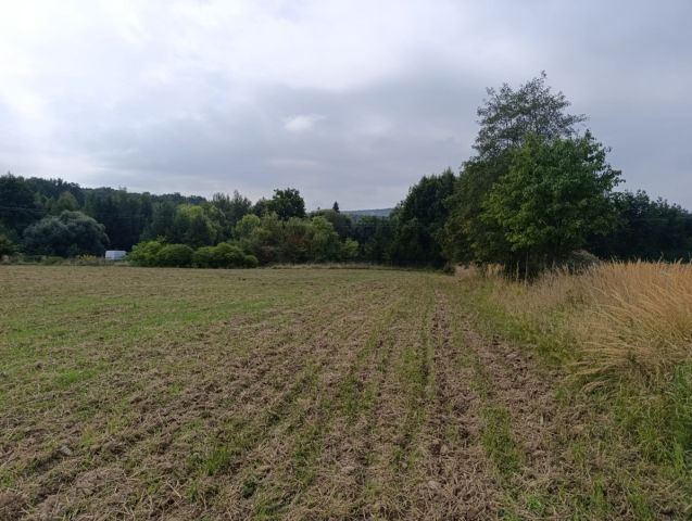 Działka siedliskowa Jaźwina Janczowice. Zdjęcie 1