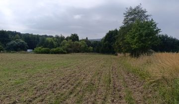 Działka siedliskowa Jaźwina Janczowice