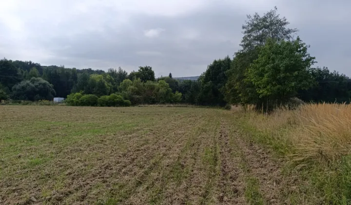 Działka siedliskowa Jaźwina Janczowice