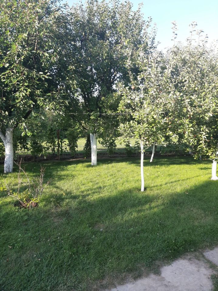 Działka rod Lublin. Zdjęcie 2