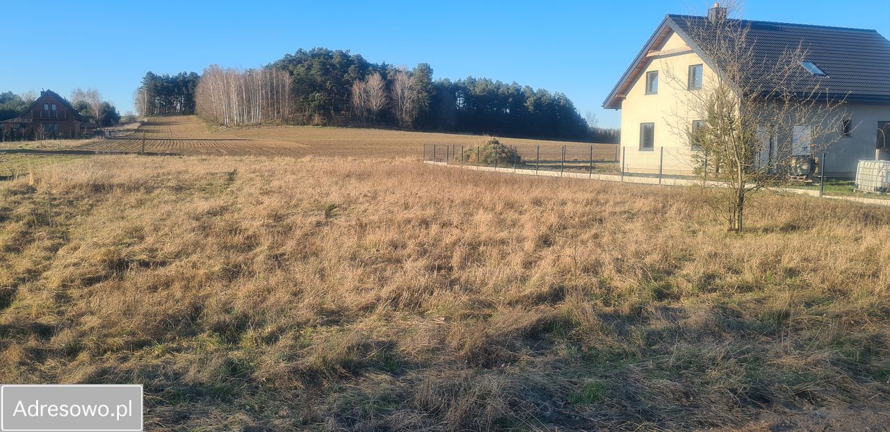 Działka rolno-budowlana Szkotowo. Zdjęcie 8