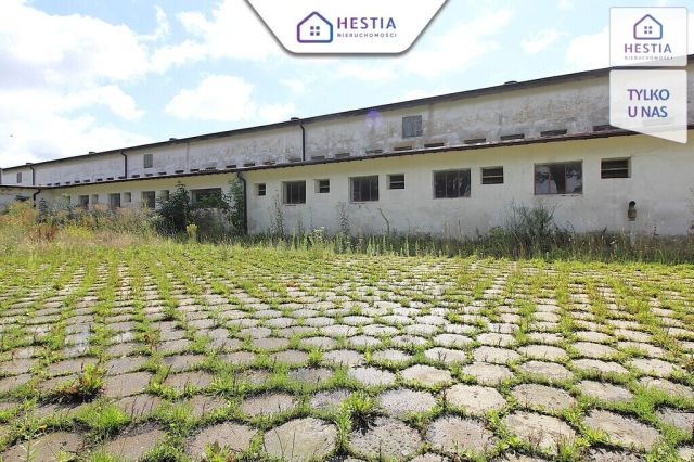 Hala/magazyn Strzyżno. Zdjęcie 5