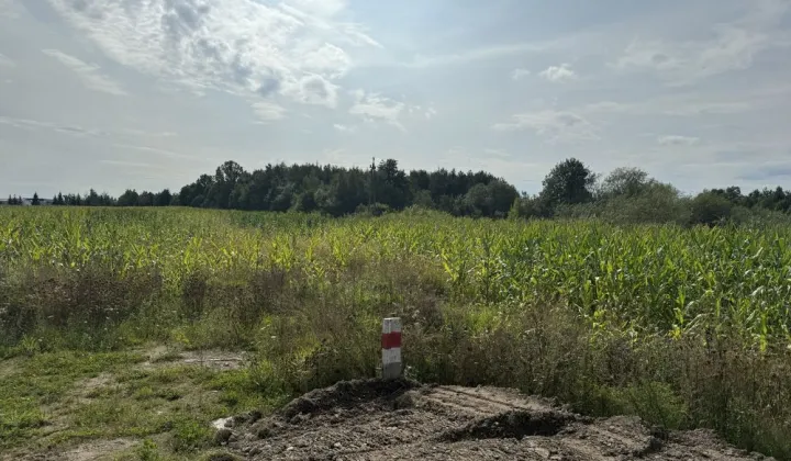Działka budowlana Rypin, ul. Cicha