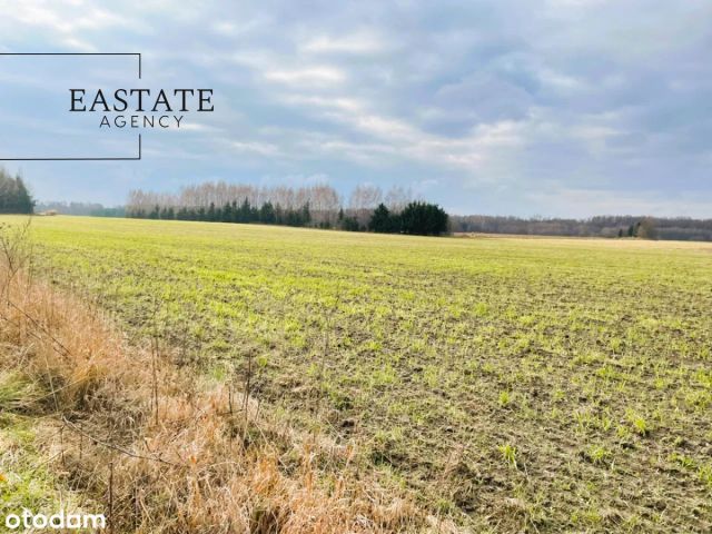 Działka inwestycyjna Harsz. Zdjęcie 7