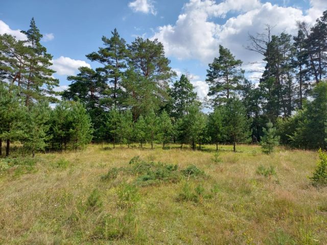 Działka budowlana Machliny. Zdjęcie 1