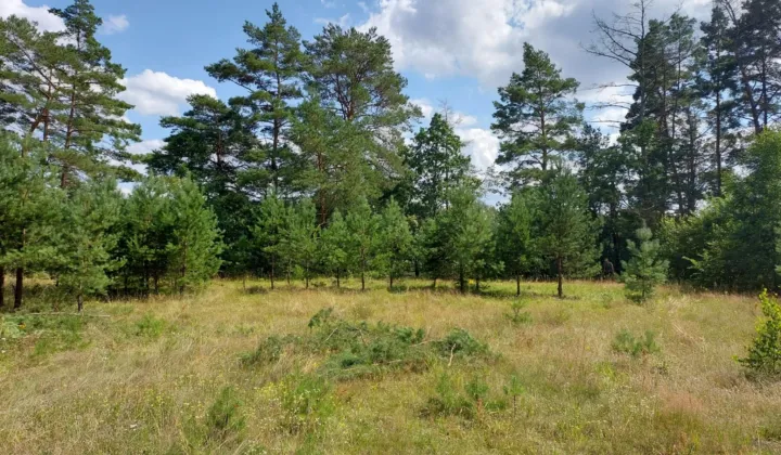 Działka budowlana Machliny