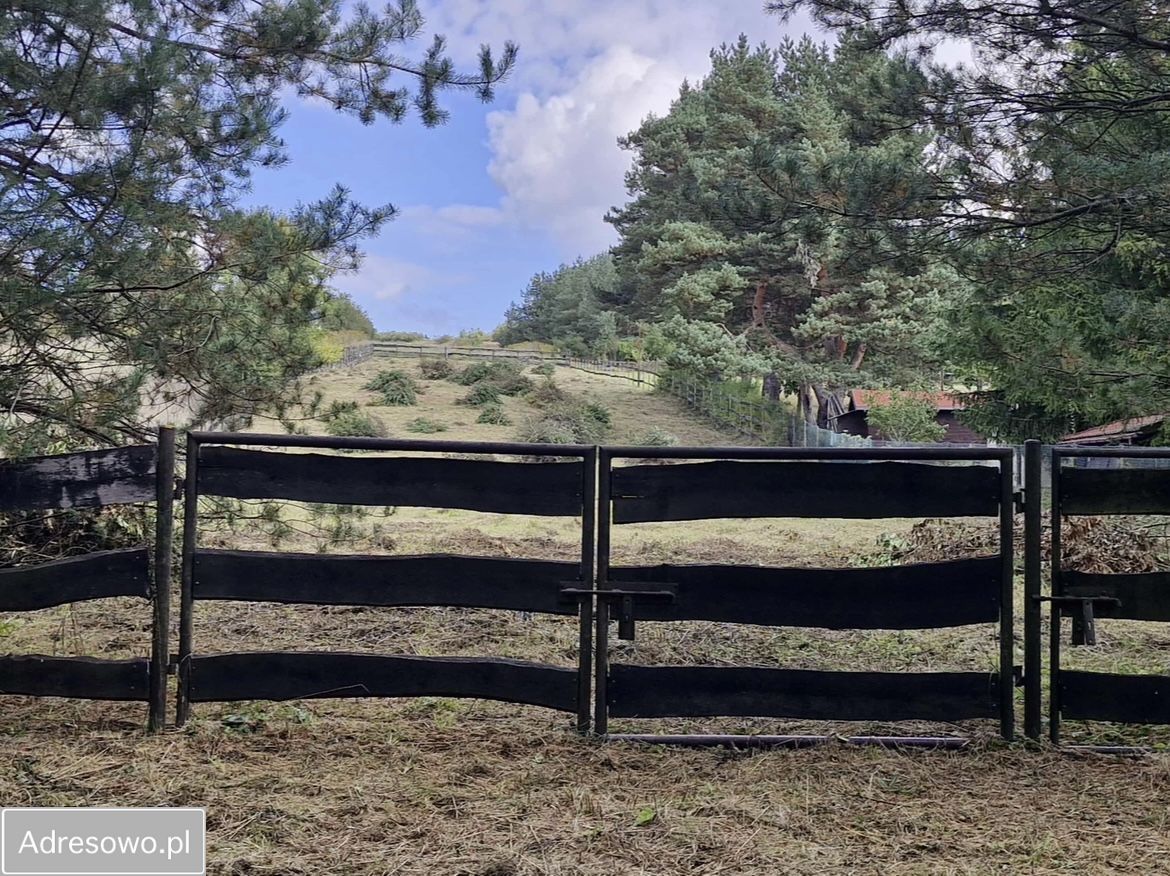 Działka budowlana Kocikowa, ul. Wola Kocikowa. Zdjęcie 3