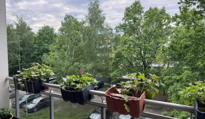 Mieszkanie 2-pokojowe Wrocław Stabłowice, ul. Kokosowa