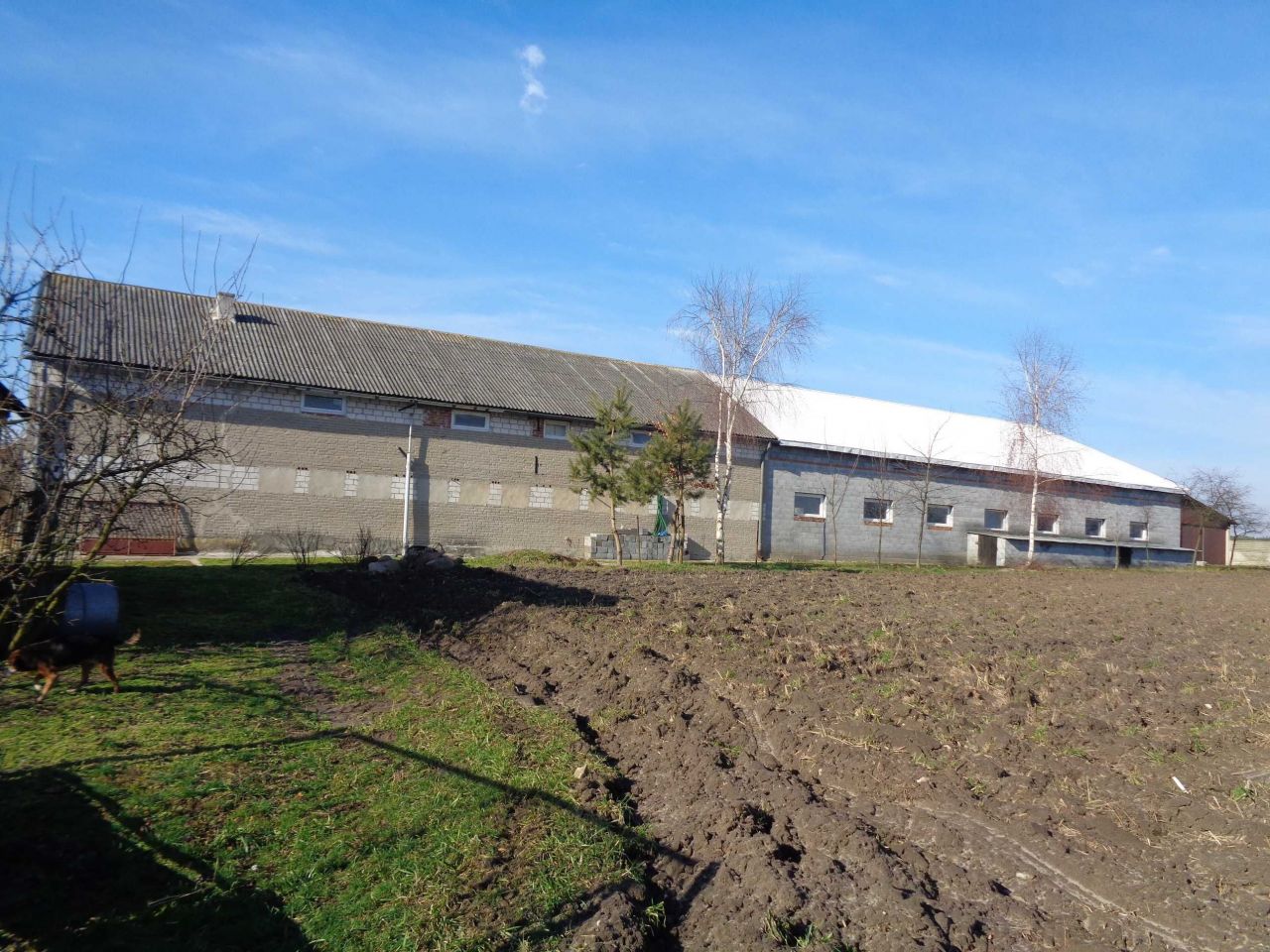 dom wolnostojący, 7 pokoi Wola Przerębska. Zdjęcie 10