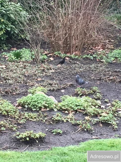 Działka budowlana Łaznowska Wola. Zdjęcie 2