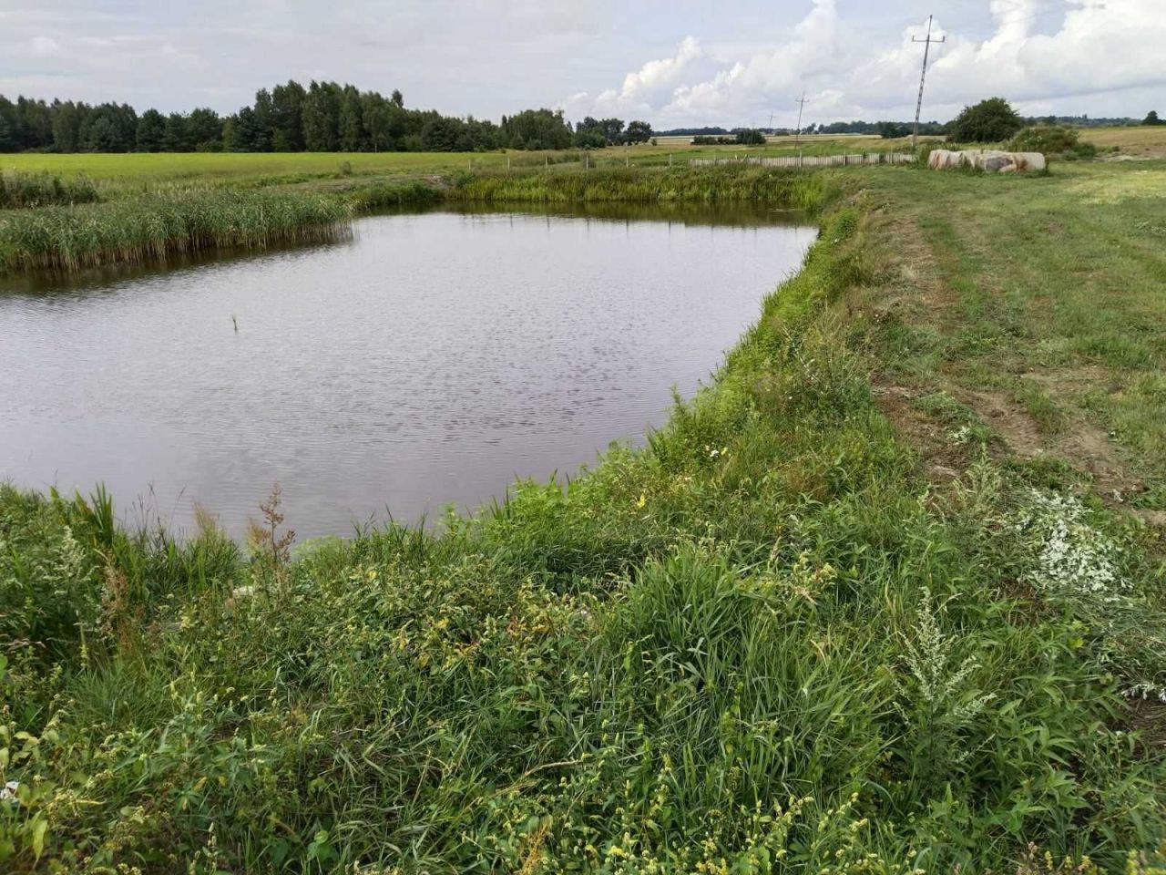Działka rekreacyjna Szuminka. Zdjęcie 5