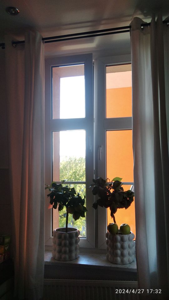 Mieszkanie 4-pokojowe Opole Stare Miasto, ul. ks. Hugona Kołłątaja. Zdjęcie 14