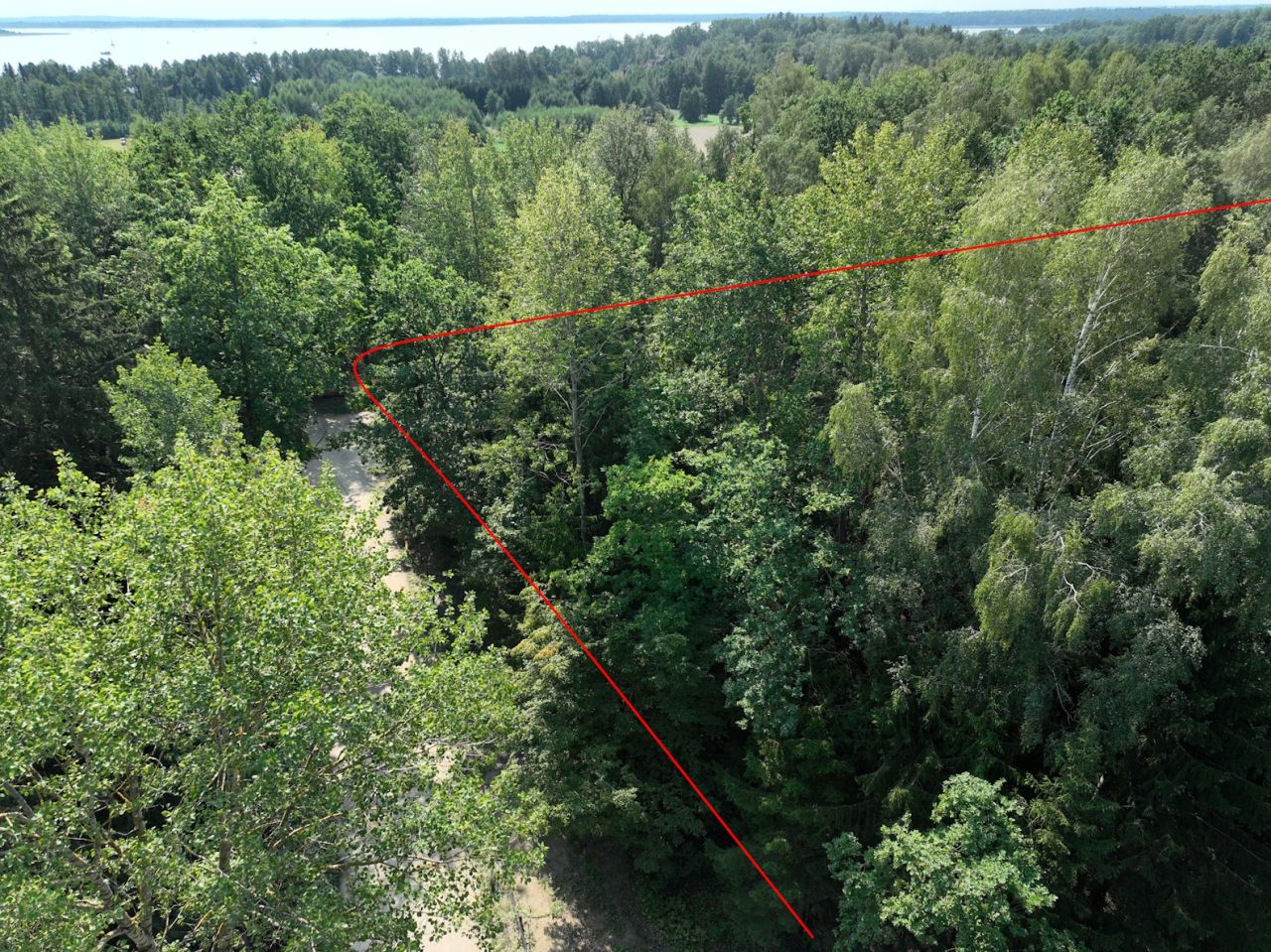 Działka leśna Trygort. Zdjęcie 3