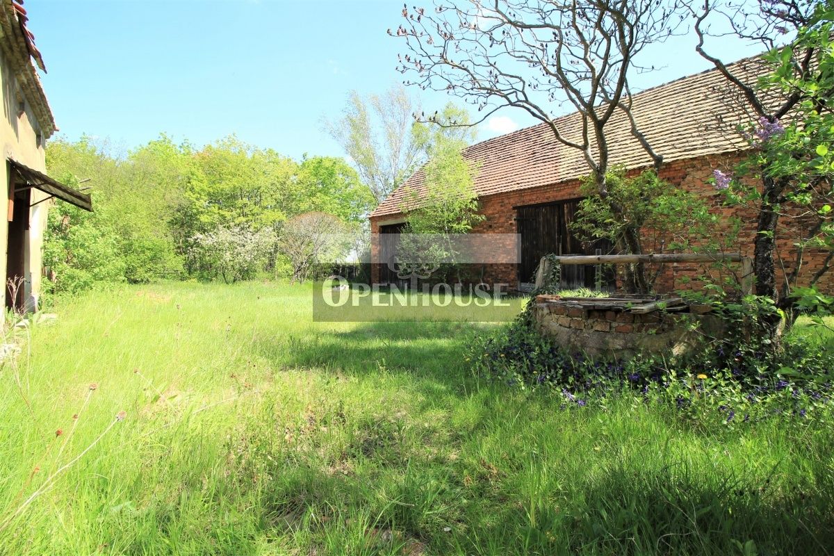 Działka Krępa. Zdjęcie 7