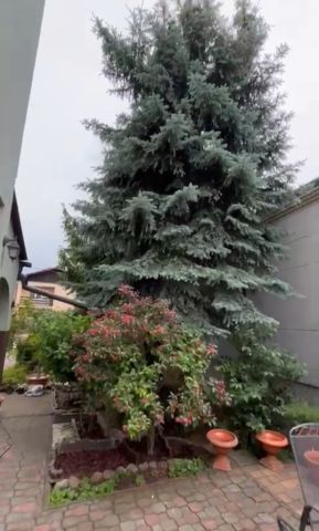 bliźniak, 6 pokoi Legionowo. Zdjęcie 2