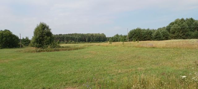 Działka rolna Kowalowce. Zdjęcie 1