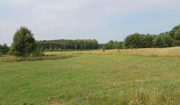 Działka rolna Kowalowce